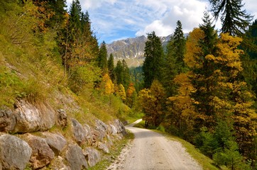 Mountain road surrounded by autumn colorful deciduous trees and conifers. Horizontal view from Austrian Alps, Lofer area. October sunny afternoon.