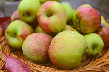 Fresh autumn red and green apples with dew drops and red fall leaves in wicker plates on wooden table. Concept for seasonal fruits, autumn harvest, organic farming and agriculture.