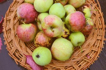 Fresh autumn red and green apples with dew drops and red fall leaves in wicker plates on wooden table. Concept for seasonal fruits, autumn harvest, organic farming and agriculture.Top view.