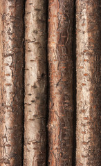 background of the old logs