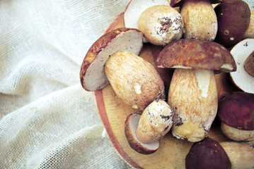 Raw porcini mushrooms on the wooden round disc. Wild porcini mushrooms composition on a white burlap. Top view. Green living and eco-friendly products