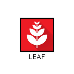 growth leaf logo icon. leaf in red square concept. flat design vector illustrator.