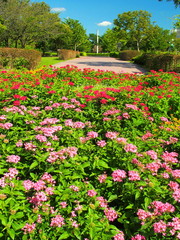 花壇のある公園風景