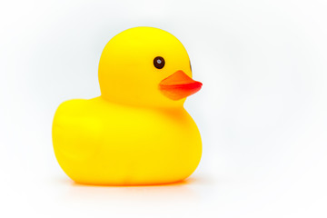 Yellow rubber duck isolated on white background