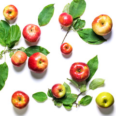 Seamless Natural Texture Blue Organic Damascenes