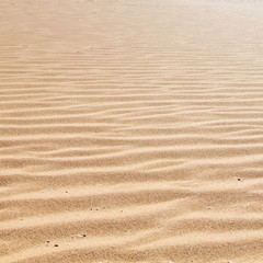 in oman the old desert and the empty quarter abstract  texture line wave