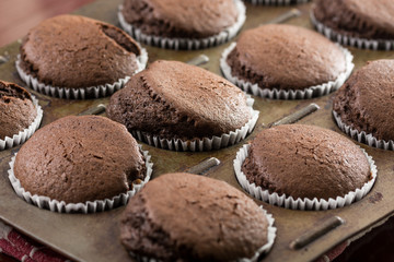 Selective focus on fresh baked chocolate cup cakes in the baking tray