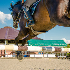 A horse is jumping over the barrier