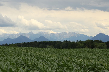 Begblick, Alpenvorland