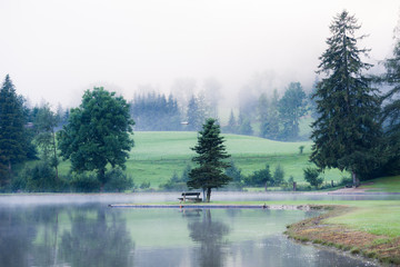 Foggy morning summer lake
