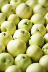 Top view of green apple. Background, concept, copy space, macro