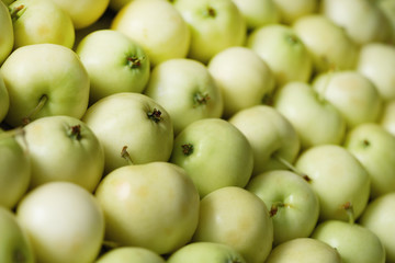 Top view of green apple. Background, concept, copy space, macro