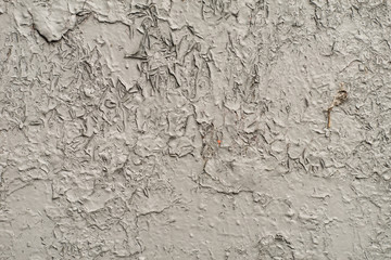 Fototapeta premium White-gray surface of a wall with cracked paint, plaster, close-up 