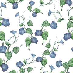 Seamless pattern of watercolor morning glories