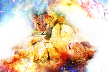 Two cute lion cubs playing together in cosmic space.