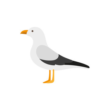 Side view portrait of seagull, albatross, flat style cartoon vector illustration isolated on white background. Simple flat style cartoon vector illustration of standing seagull