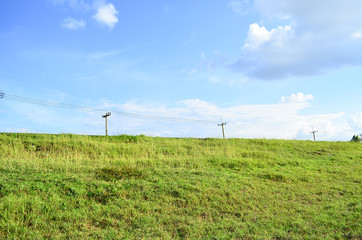 Fototapeta premium Field and sky