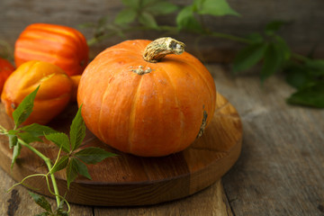 Obraz premium Raw pumpkin on wooden desk