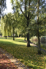 Rural park at a sunny autumn day in Berlin, Germany