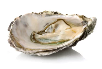 Rolgordijnen Fresh opened oyster isolated on white background © Alexstar