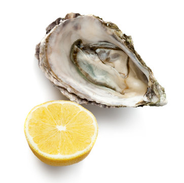 Fresh opened oyster with lemon isolated on white background