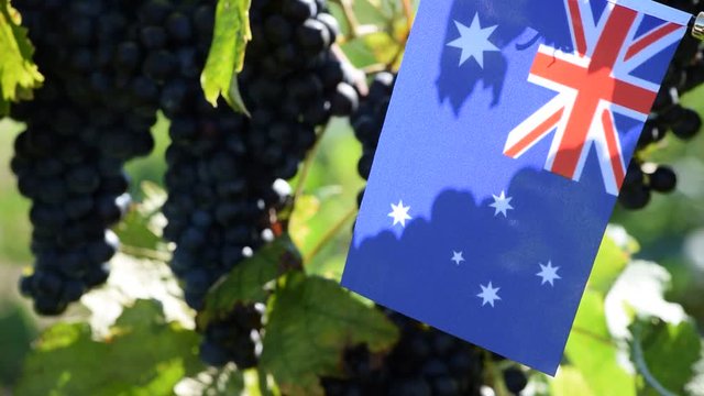 Australischer wein Australsk vin Australia australien wine Australian Vino 澳洲葡萄酒 video australiano Australiskt  Австралийское вино 