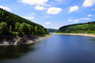 Landscape with a lake surrounded by green fresh fir trees on a beautiful sunny summer day in the harz national park. 