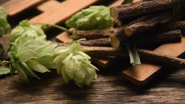 Humulus lupulus Glycyrrhiza glabra 