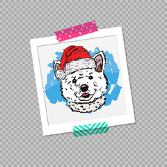 Photo of a cute little puppy. Vector illustration EPS 10.