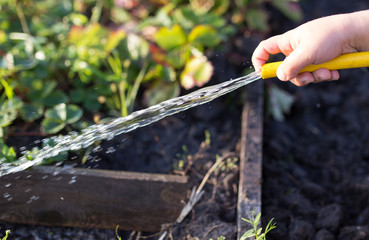 splashing water from a hose in the garden