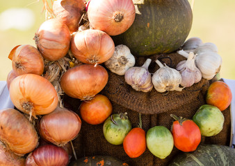 the harvest of different vegetables in the fall