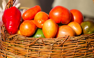 the harvest of different vegetables in the fall