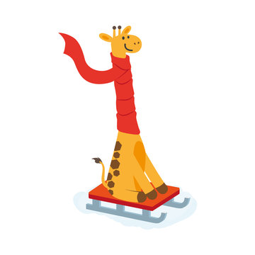 vector flat cartoon giraffe character sledding smiling wearing red scarf. Winter animal outdoor games, activities concept. Isolated illustrationo on a white background
