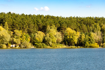 forest by the lake in the open air