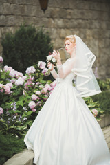 Obraz premium Portrait of stunning bride with long hair posing with great bouquet