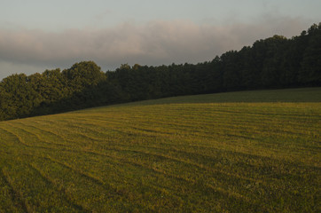 misty landscape outdoors