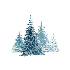 Fototapeta premium hand drawn spruce forest