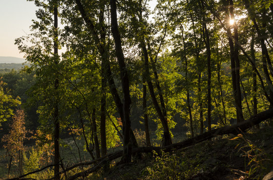 autumn moment in nature © pellephoto