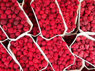 Berries, raspberries in boxes