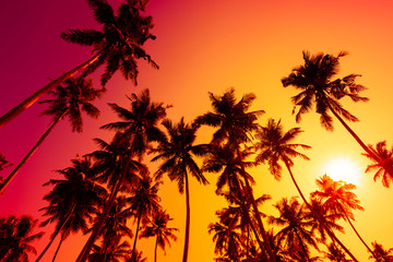 Naklejka na ściany i meble Tropical beach sunset