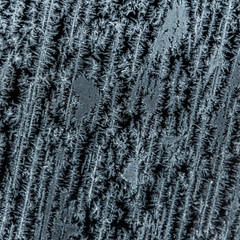 A square picture with frosty patterns on the glass.