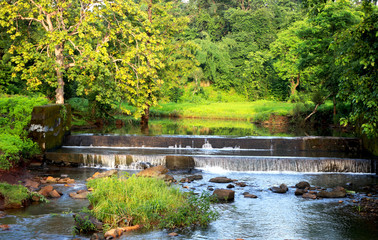 Fototapeta na wymiar diversion dam taking water from river with background of green trees and plants 