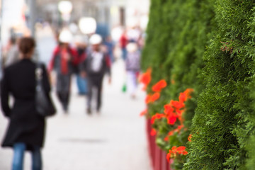 Green city on a sunny day