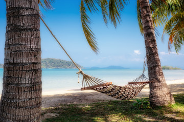 Obraz premium Hammock in the shade of palm trees