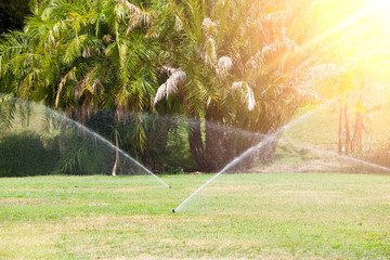 Sprinkler system watering the lawn  . Summer sunny day