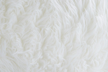 White wool texture background