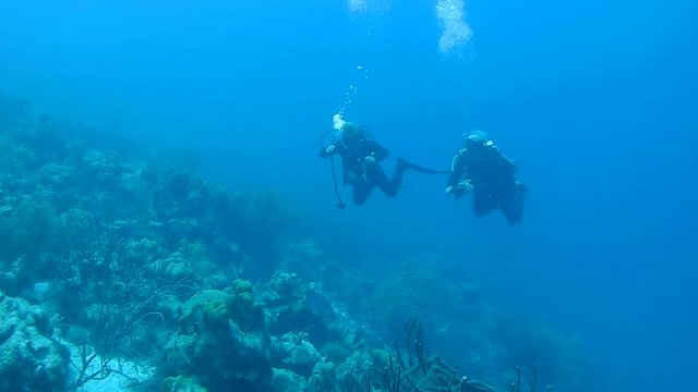 people underwater diving coral life underwater video 1080p Caribbean Sea