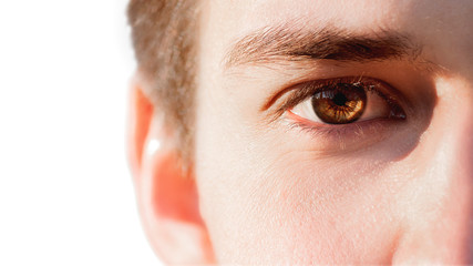 Close up photo of man eye. Brown eye of white european type man.