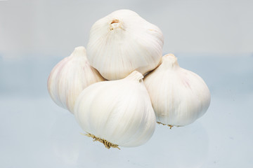 Fresh garlic isolate on white background.