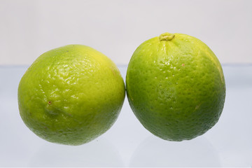 Fresh lime fruits on white background.